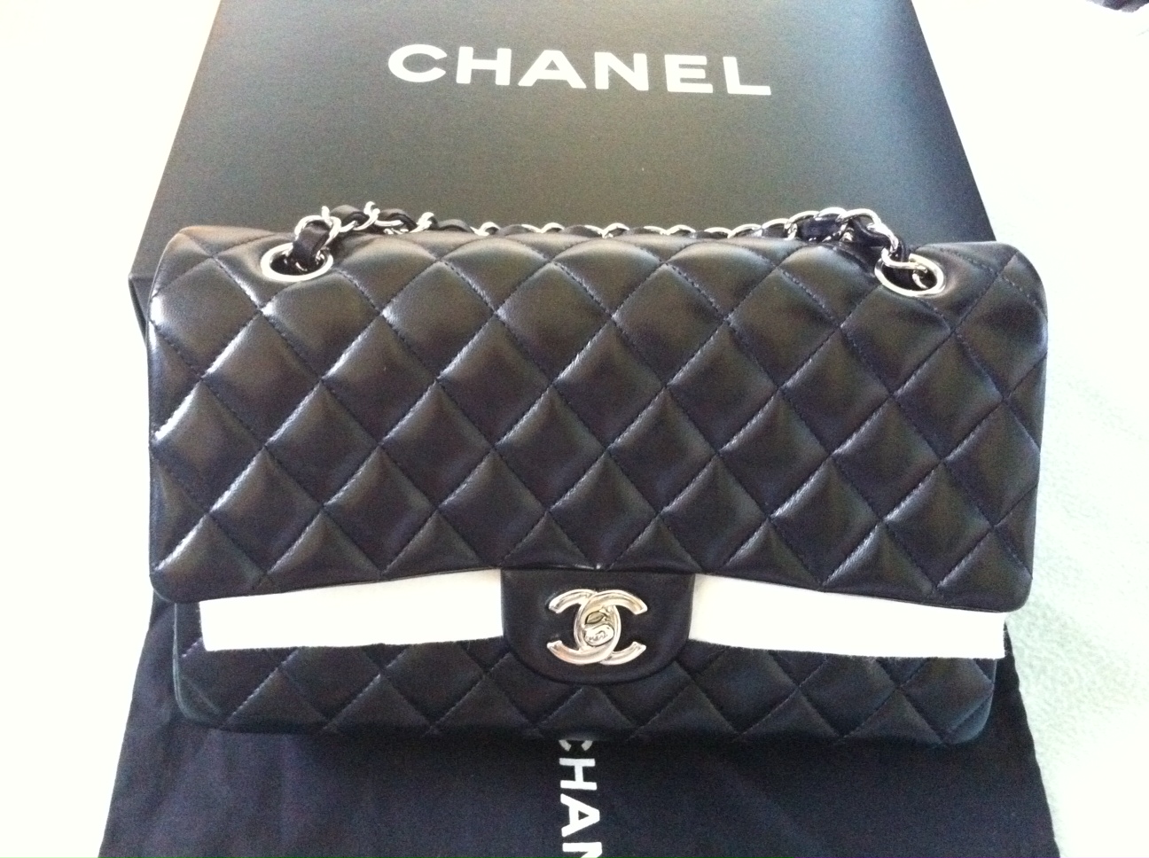 Chanel Database Caviar or Lambskin?