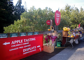 2011 UBC Apple Festival, autumn display with dried flowers arrangements 2011 UBC Apple Festival, autumn display with dried flowers arrangements
