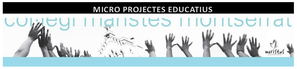 MICRO PROJECTES EDUCATIUS