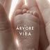 Baixar - A Árvore da Vida - BD-Rip Dual Áudio - Via Torrent