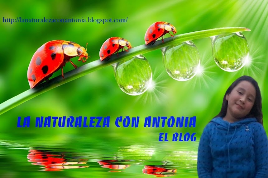 La Naturaleza con Antonia