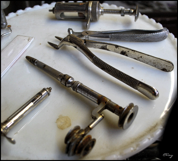 Our Adventures House Sitting A Threshing We Go!