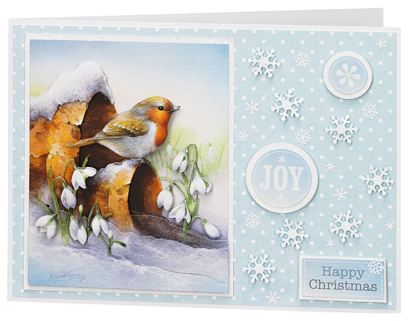 Christmas Card Gallery 2012 Christmas Card Gallery 2012