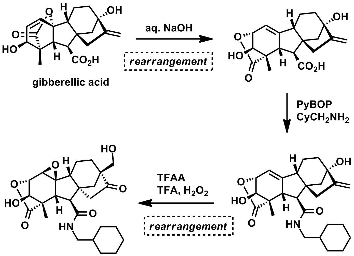 in situ generated dual template