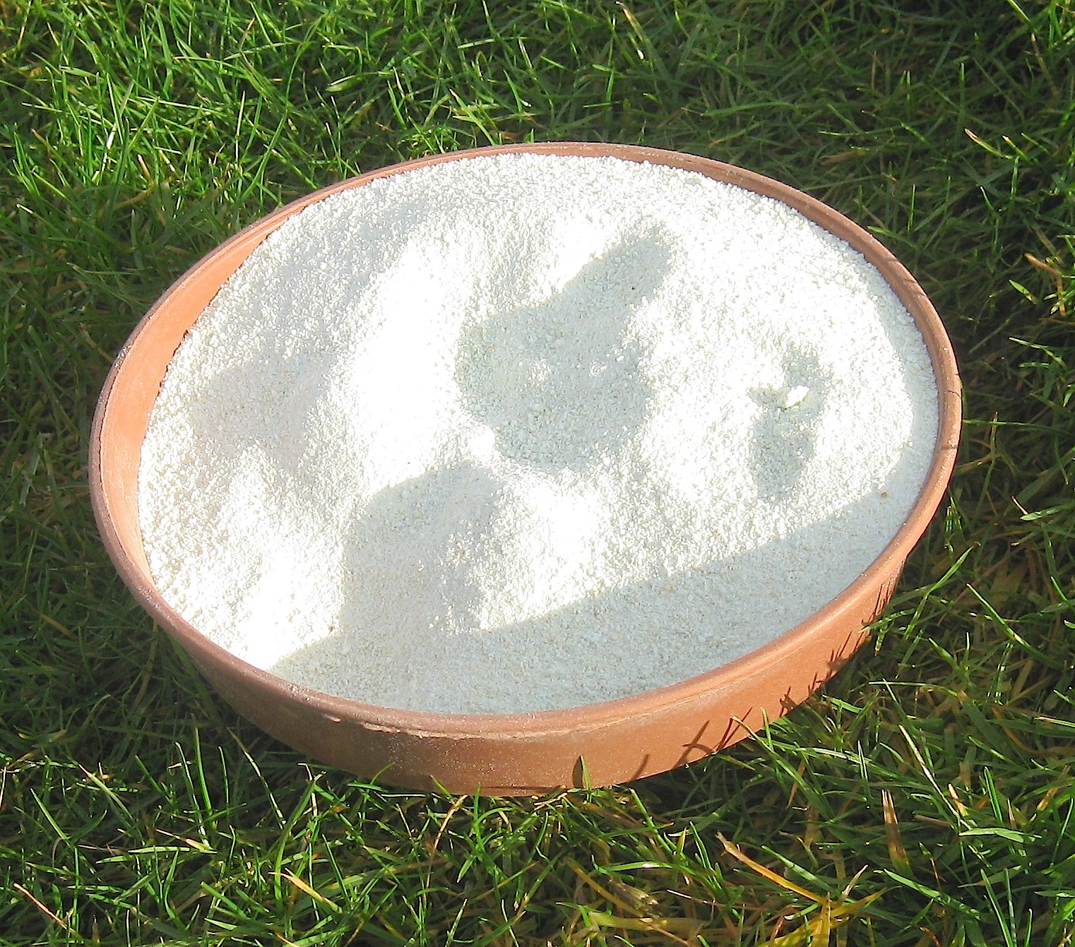 Roger Brook the no dig gardener Using iron sulphate to control moss