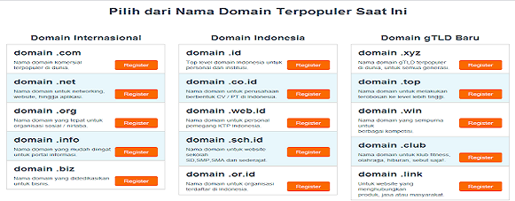Domain Website