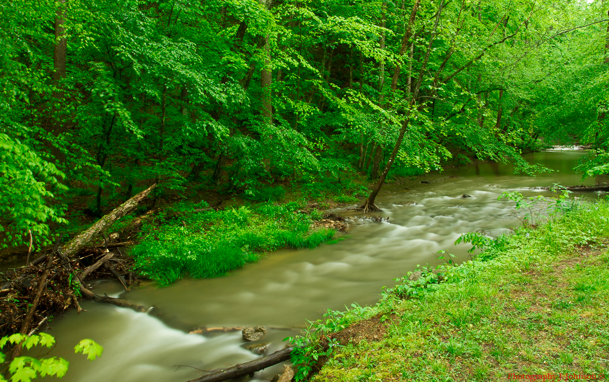 Lincoln's Domain West Virginia mountain stream