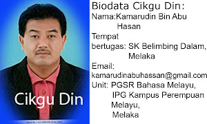 Biodata Cikgu Din