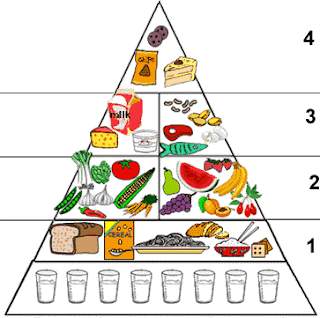 Food Pyramid Large