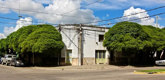 A field guide to snails and snail mail.