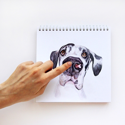 03-Boop-Valerie-Susik-Валерия-Суслопарова-Cats-and-Dogs-Interactive-Animal-Drawings-www-designstack-co