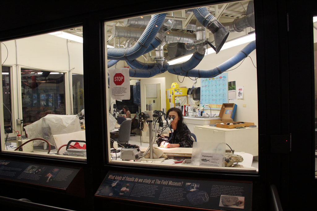 Recreated Artifacts And Skulls From The Crime Scene Photo By Christa