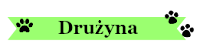 Drużyna