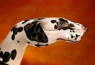 Unbelievable Animal Hand Paintings