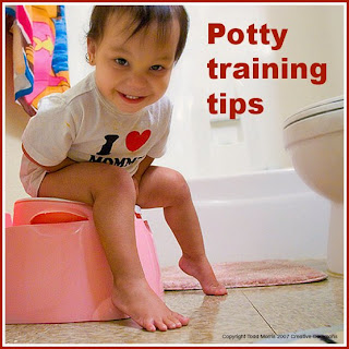 Potty Training Tips