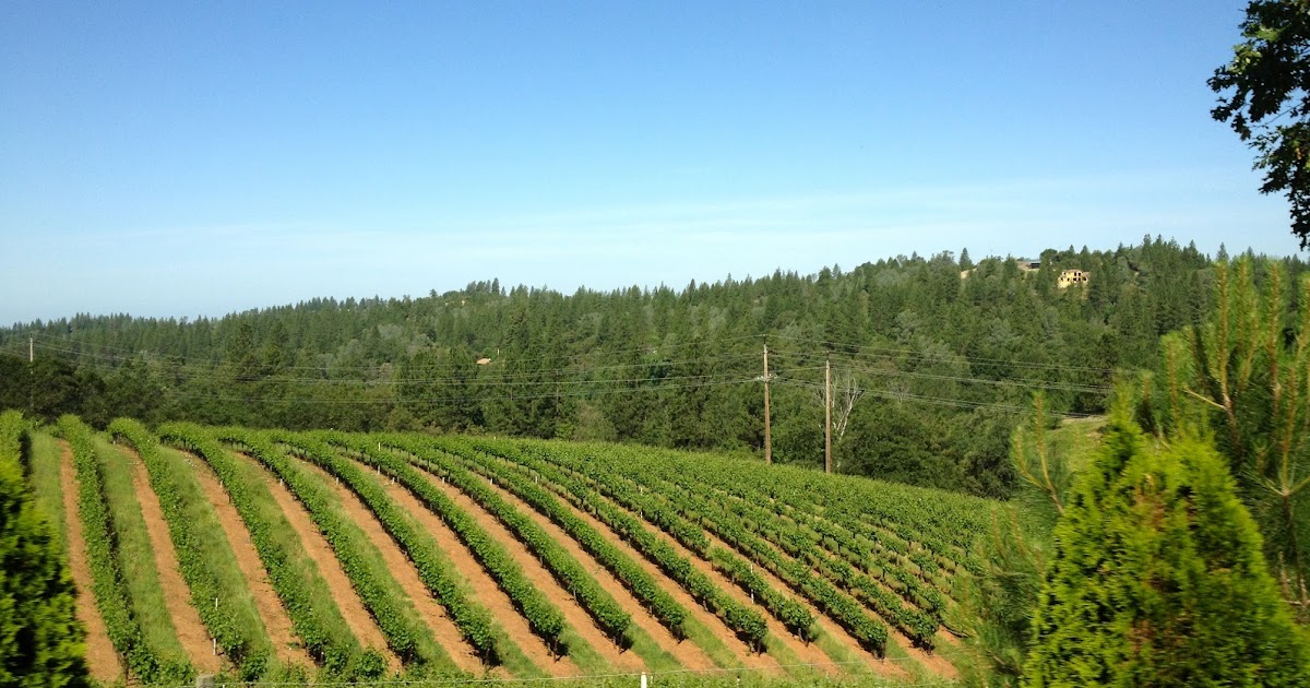 Boeger Winery, El Dorado Wine Country spaswinefood