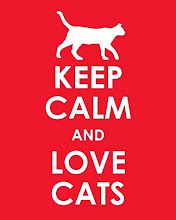 LOVE CATS