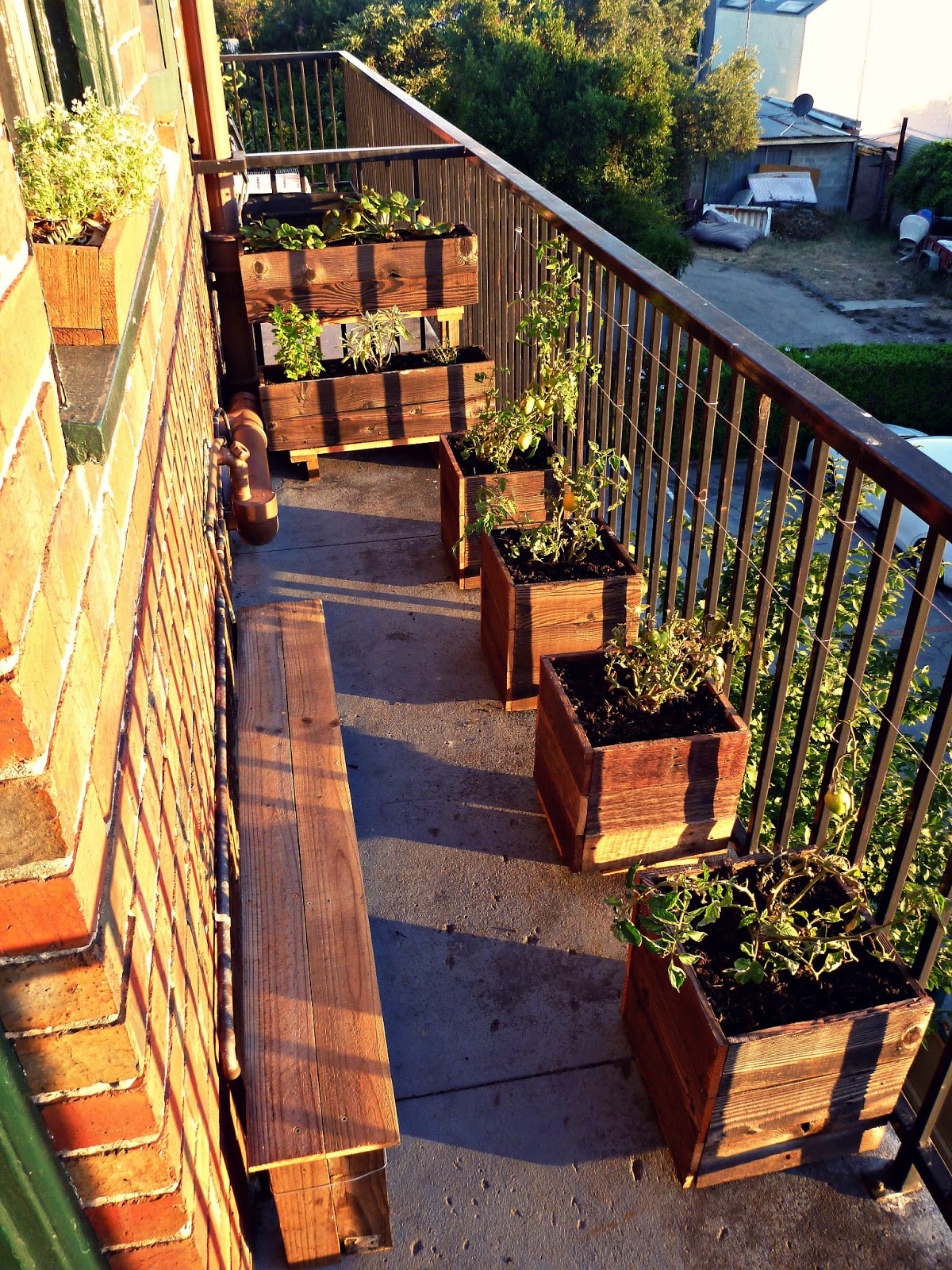 Urban Growth My First Garden Balcony Installation