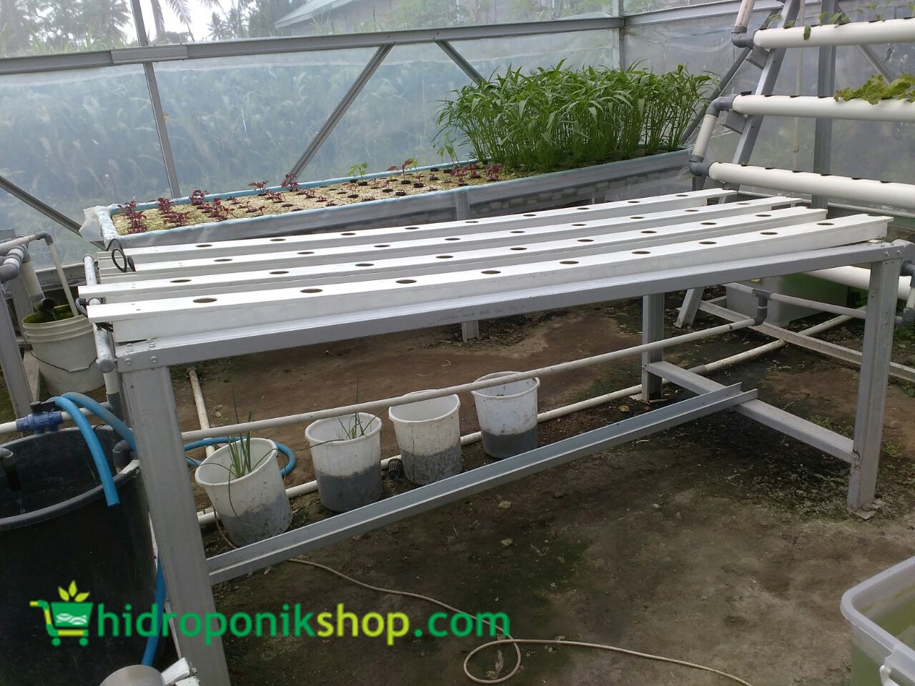 Dunia Hidroponik Perlengkapan Hidroponik Sistem Nft Dengan Green