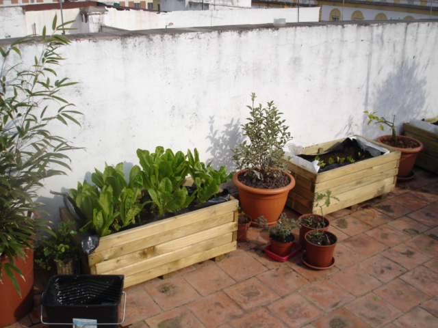 Asociación de Educación Ambiental El Bosque Animado: Contenedores