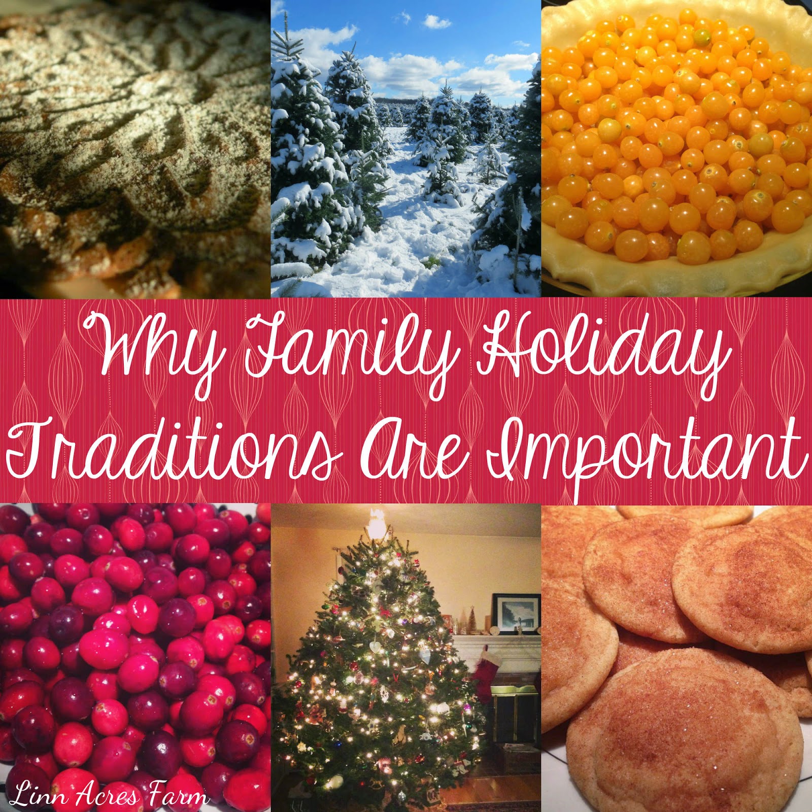 Linn Acres Farm The Importance of Family Holiday Traditions