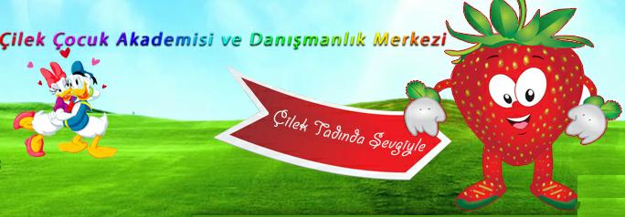 Sultangazi Cilek Anaokulu Sultangazi Rehberi