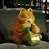 Su amigo Garfield