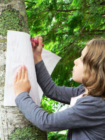 child making a bark rubbing on a maple tree