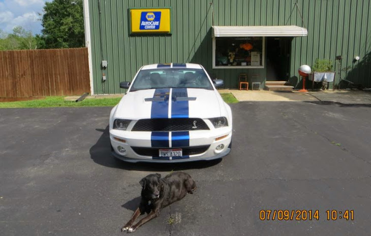 The blog cam dog Buddy L guarding at Boyle's Automotive in Franklin Township Ohio.