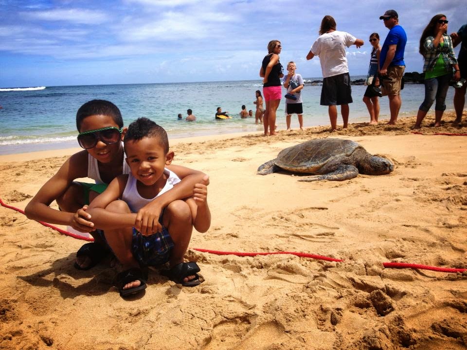 FREE Things to Do with Kids in Hawaii