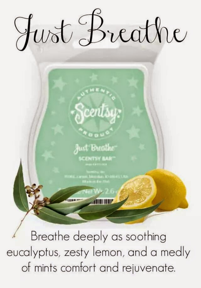 ScentiMental Liz Barnes Founding UK Independent Scentsy Consultant