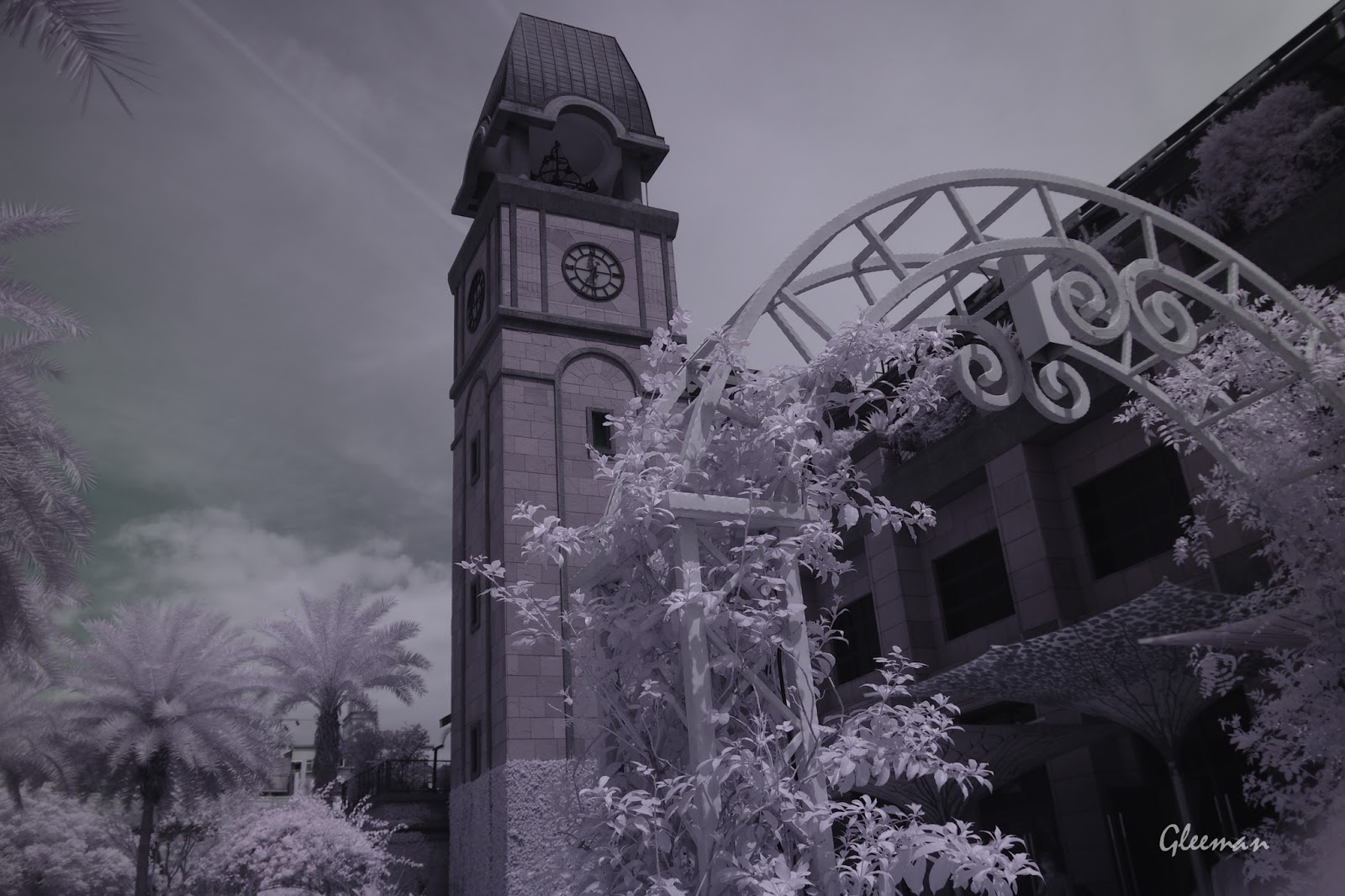 彩色紅外線攝影 (Pentax K5 Color IR Photography) 彩色紅外線攝影 (Pentax K5 Color IR Photography)