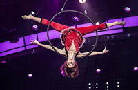 Live aerial show for Christmas