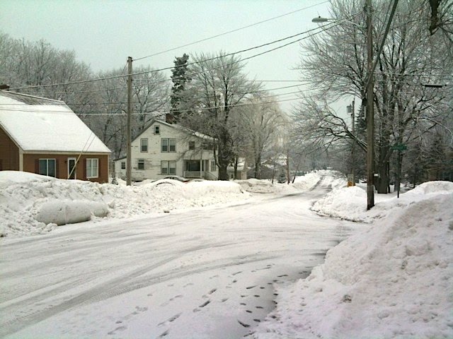 used her arborist tools to