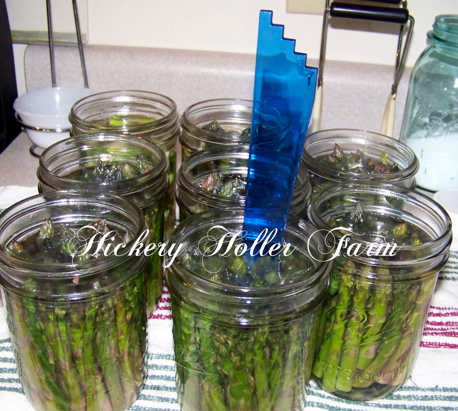 Hickery Holler Farm Canning Asparagus