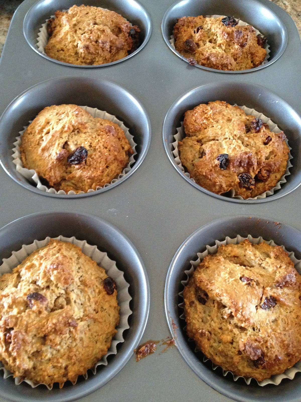 Honey Yogurt Raisin Bran Muffins