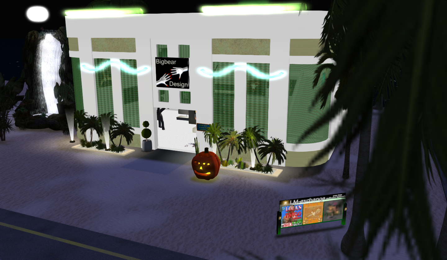 what is second life what is second life