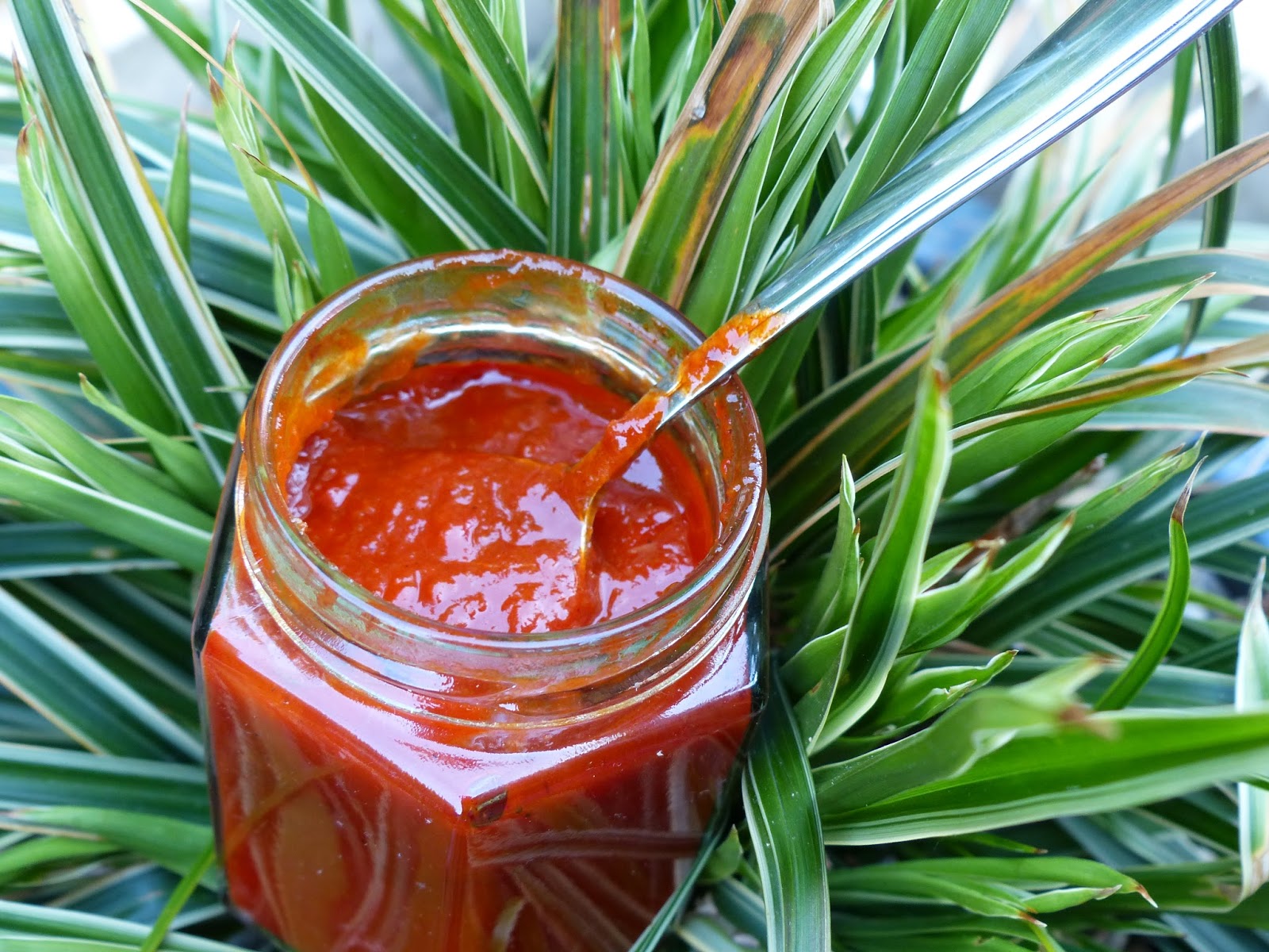 Verboten gut ⚠ Frank Rosin´s Currywurstsauce