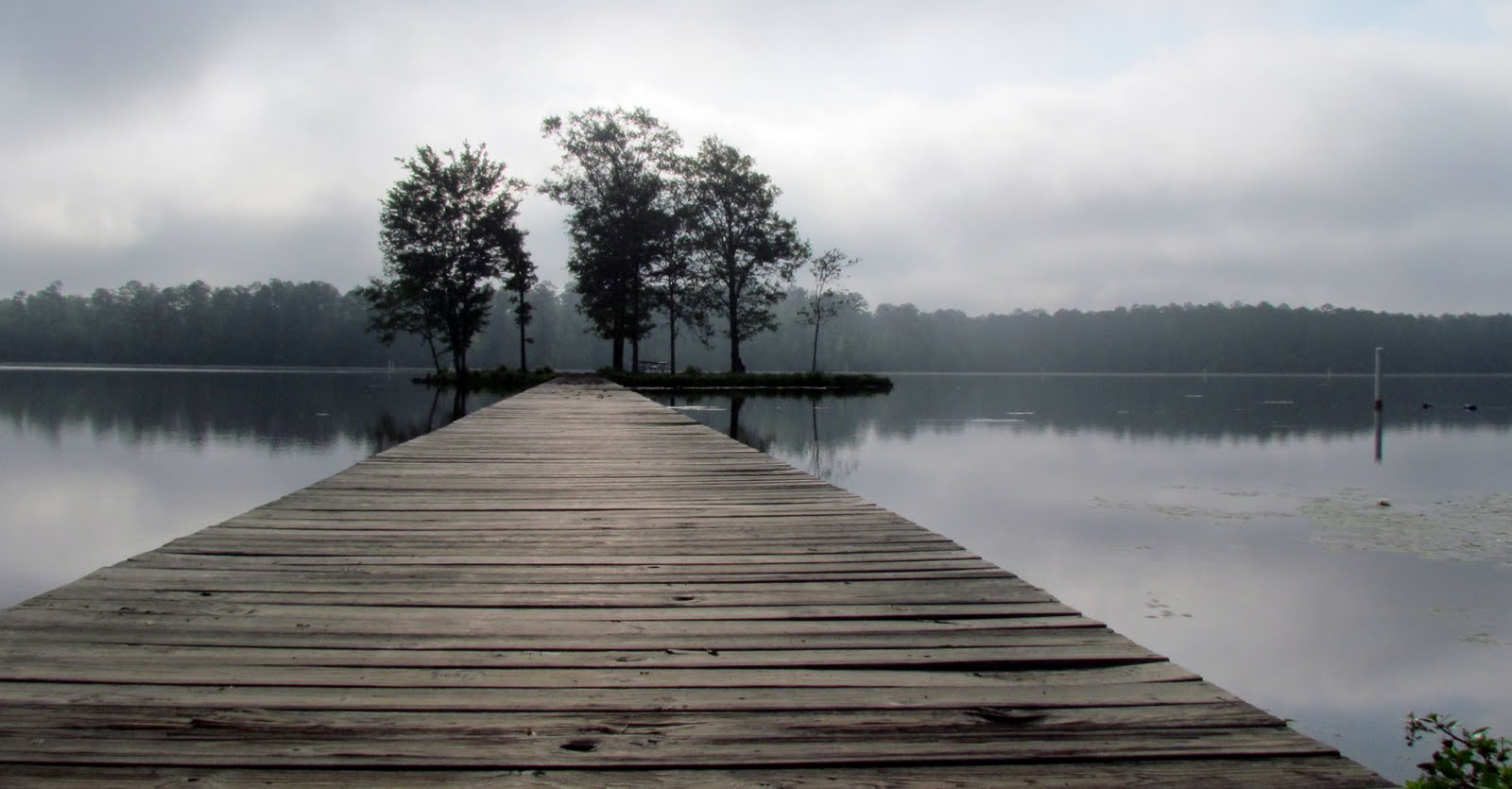 project pragmatizo Beautiful Mississippi!