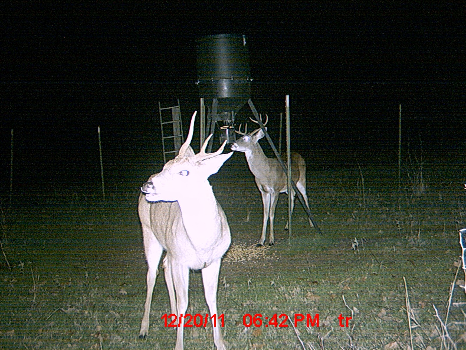 hunting game unicorns do exist hunting game unicorns do exist