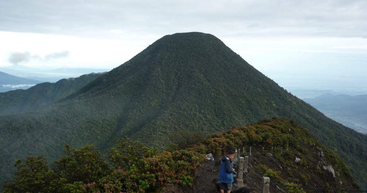 Jalan Satapak: Gunung Gede (Via Cibodas)