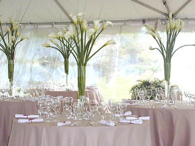 Pink Wedding Reception Ideas