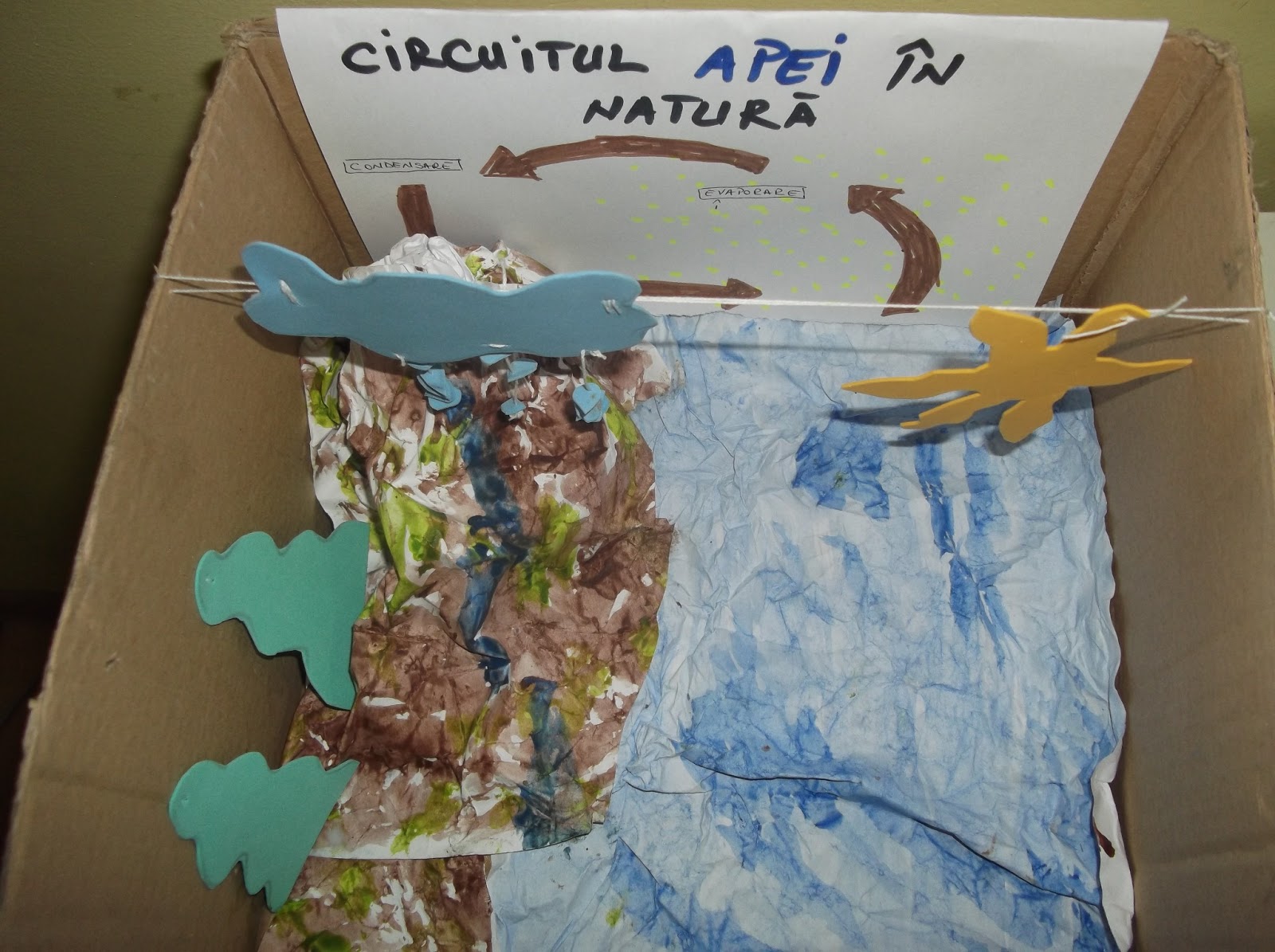 Ralucasopoian Blogspot Com Circuitul Apei In Natura