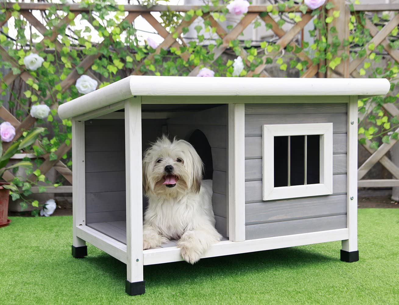 Outdoor Wooden Dog House