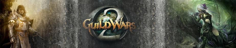 Guild wars 2 beta