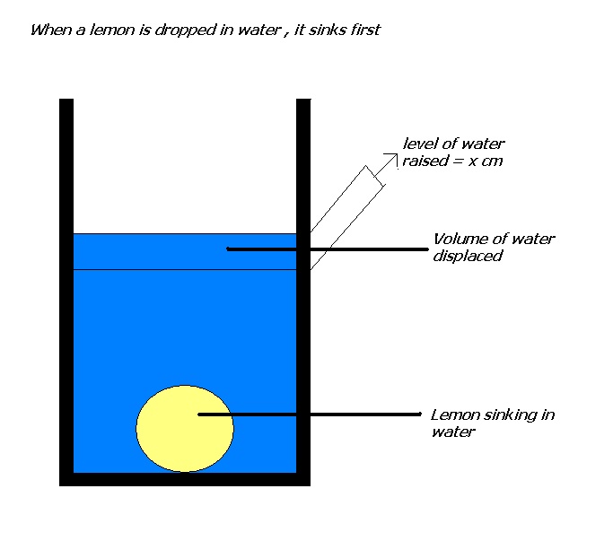 My Experiments and Results Why does a lemon sink in water , initially
