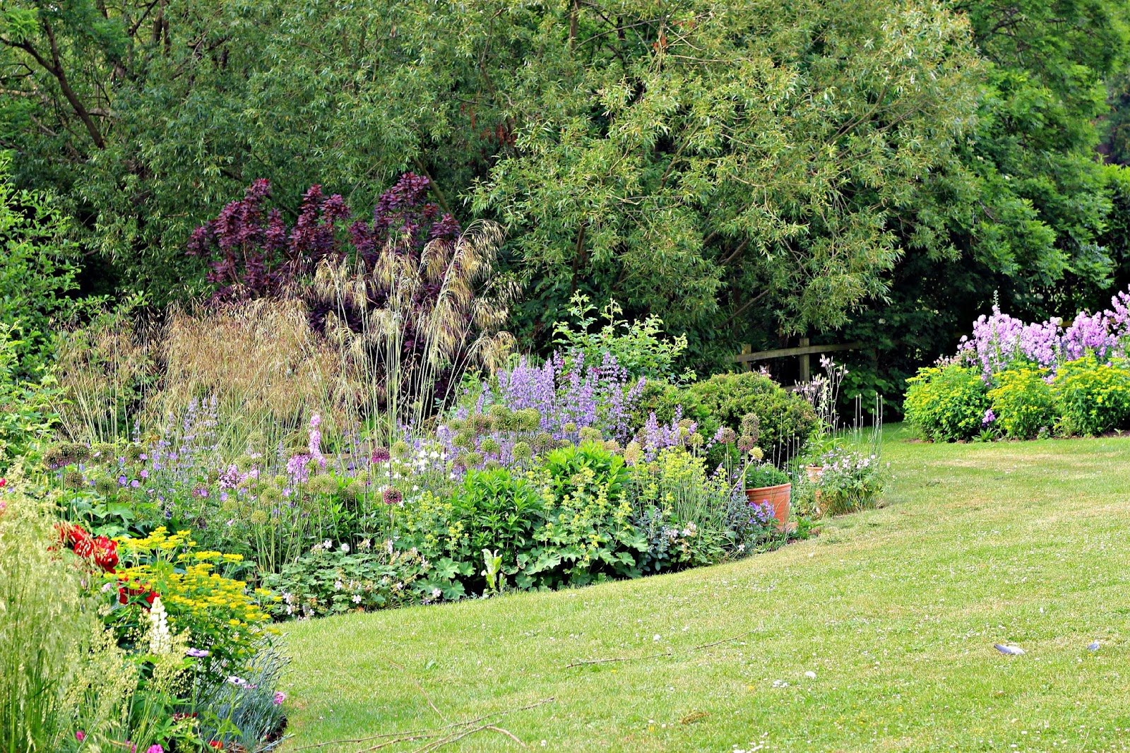 Flowers in the house Wild Acre