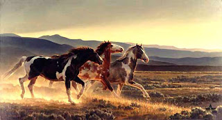 Wild Horses images