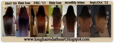 Mit Erfolg Zur Dsh Pdf Merge