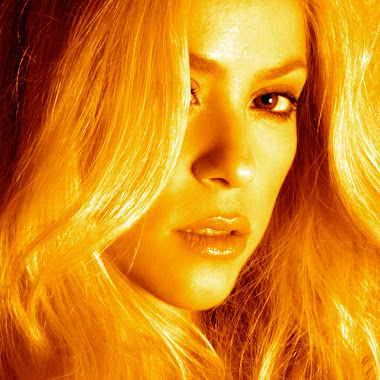 Shakira e Seus Segredo Da Sucesso